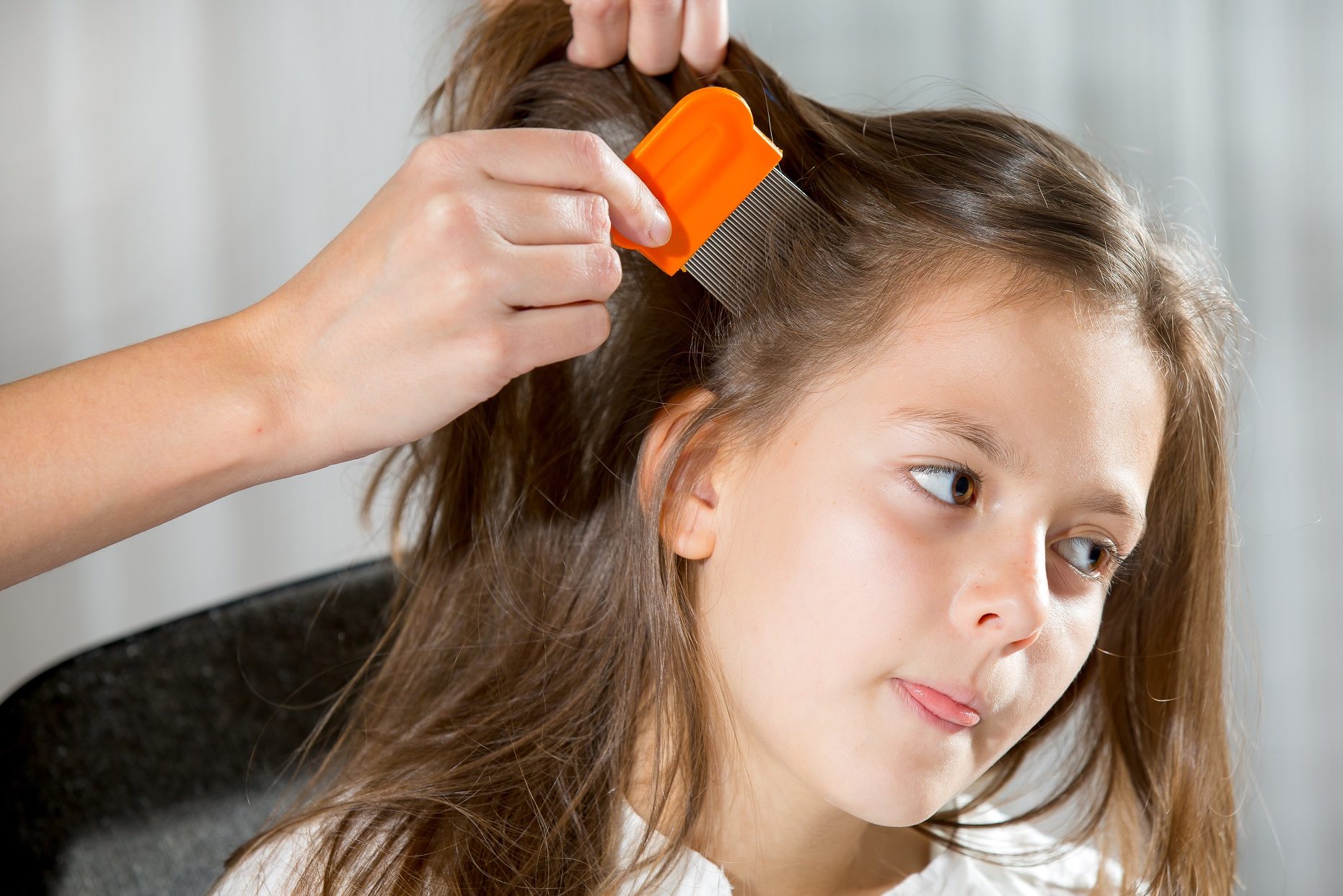 nivelazione szampon przeciw wszom dzieci