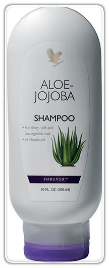 szampon aloe jojoba cena