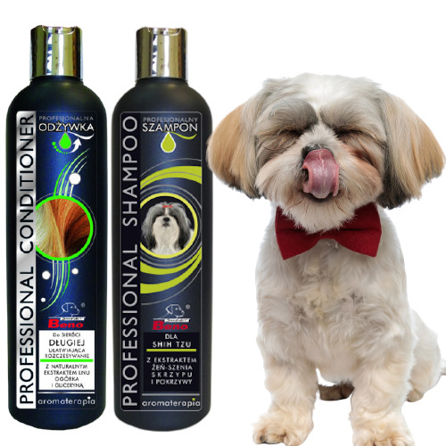 na ile starcza 1 szampon u shih tzu