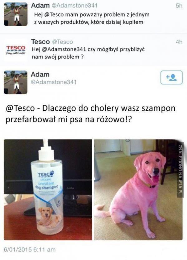 szampon dla kota tesco